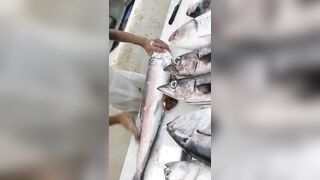 Jazan Fish Market - где искать свежего тунца после рыбалки
