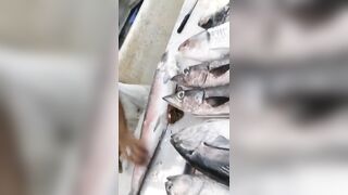 Jazan Fish Market - где искать свежего тунца после рыбалки