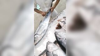 Jazan Fish Market - где искать свежего тунца после рыбалки