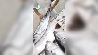 Jazan Fish Market - где искать свежего тунца после рыбалки