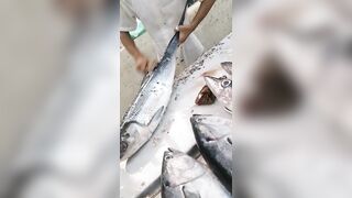 Jazan Fish Market - где искать свежего тунца после рыбалки