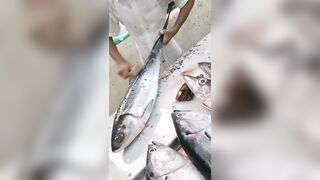 Jazan Fish Market - где искать свежего тунца после рыбалки
