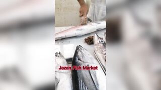 Jazan Fish Market - где искать свежего тунца после рыбалки