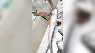 Jazan Fish Market - где искать свежего тунца после рыбалки