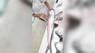 Jazan Fish Market - где искать свежего тунца после рыбалки