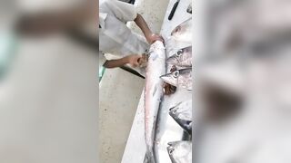 Jazan Fish Market - где искать свежего тунца после рыбалки