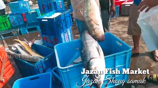 Jizan, Jazan Fish Market - что взять после утренней рыбалки