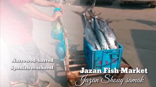 Jizan, Jazan Fish Market - что взять после утренней рыбалки