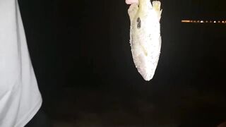 Jazan — рыболовный тур: маршруты, сезон и что клюёт