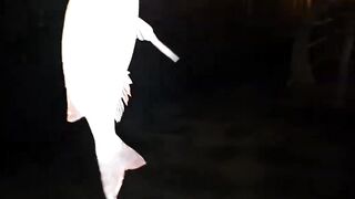 Jazan — рыболовный тур: маршруты, сезон и что клюёт