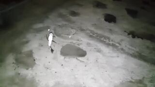 Jazan — рыболовный тур: маршруты, сезон и что клюёт