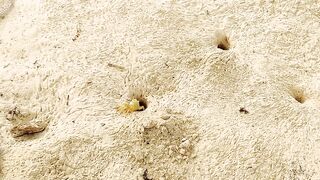 Farasan Islands, Jizan - рыбалка и эксплор спотов у архипелага