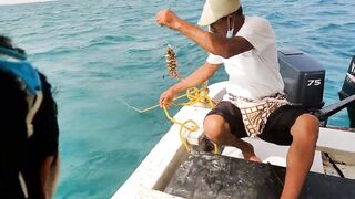 Farasan Islands, Jizan - рыбалка и эксплор спотов у архипелага