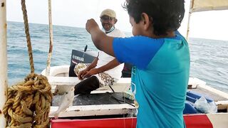 Farasan Islands, Jizan - рыбалка и эксплор спотов у архипелага