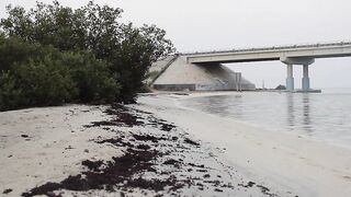 Farasan Islands, Jizan - рыбалка и эксплор спотов у архипелага