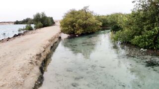Farasan Islands, Jizan - рыбалка и эксплор спотов у архипелага