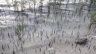 Farasan Islands, Jizan - рыбалка и эксплор спотов у архипелага