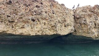 Farasan Islands, Jizan - рыбалка и эксплор спотов у архипелага