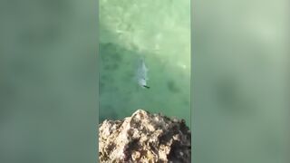 Farasan Islands: GT fishing каждый день, где точки входа