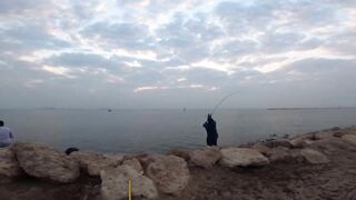 Farasan Islands: GT fishing каждый день, где точки входа