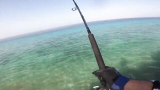 Farasan Islands: GT fishing каждый день, где точки входа