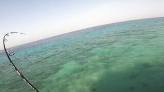 Farasan Islands: GT fishing каждый день, где точки входа