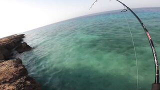 Farasan Islands: GT fishing каждый день, где точки входа
