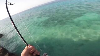 Farasan Islands: GT fishing каждый день, где точки входа