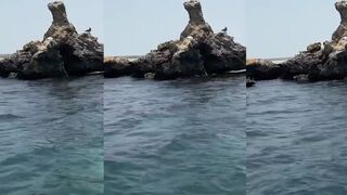 Jizan, Farasan — как добраться на рыбалку и не проспать прилив