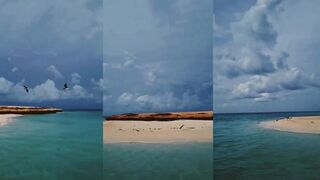 Морская рыбалка на Farasan Islands, Красное море