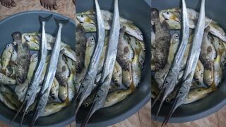 Farasan Island - морская рыбалка на плоских банках у кораллов