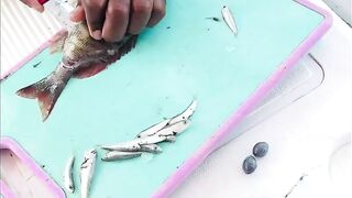 Farasan Islands: мангровый трип и фестиваль Hareeda, где рыбалка?