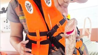 Farasan Islands: мангровый трип и фестиваль Hareeda, где рыбалка?