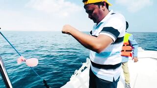 Farasan Islands: мангровый трип и фестиваль Hareeda, где рыбалка?