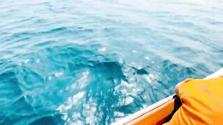 Farasan Islands: мангровый трип и фестиваль Hareeda, где рыбалка?