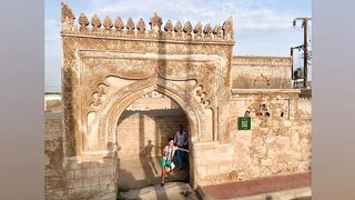 Farasan Islands, Jazan - морская рыбалка на мангровых кромках