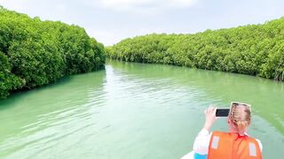 Farasan Islands, Jazan - морская рыбалка на мангровых кромках