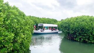 Farasan Islands, Jazan - морская рыбалка на мангровых кромках