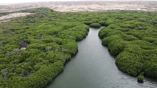 Farasan Islands, Jazan - морская рыбалка на мангровых кромках