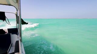 Farasan Islands - «Мальдивы Саудии»: морская рыбалка на дрейфе