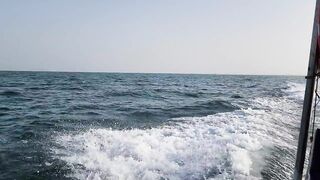 Farasan Islands - «Мальдивы Саудии»: морская рыбалка на дрейфе