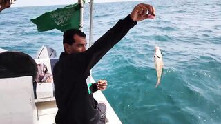 Farasan Islands - «Мальдивы Саудии»: морская рыбалка на дрейфе