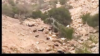 Taghazout по-настоящему: рыбалка и серфинг делят одну бухту