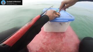 Agadir/Taghazout — морская рыбалка с лодки: стоит ли уходить на свал?