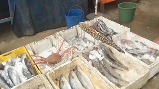 Imsouane, Agadir: серф и рыбалка — совместимы ли планы?