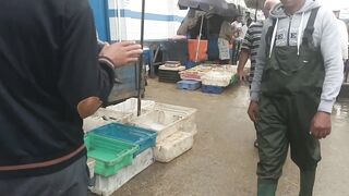 Imsouane, Agadir: серф и рыбалка — совместимы ли планы?