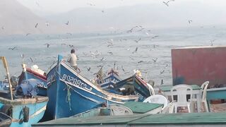 Imsouane, Agadir: серф и рыбалка — совместимы ли планы?