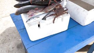 Imsouane, Morocco — рыбацкая бухта и длинная правая волна