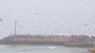 Imsouane - slow life: морская рыбалка в бухте и волны для серфа