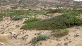 Imsouane - slow life: морская рыбалка в бухте и волны для серфа